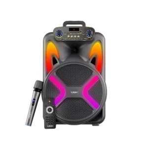 L-265 Ronaq | 12 inch Wireless Speaker